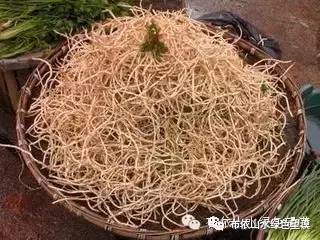 您好！我叫望谟，这是我的新名片~