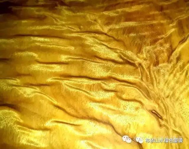 您好！我叫望谟，这是我的新名片~