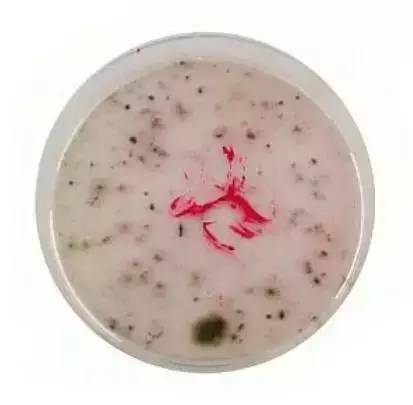 快翻翻你的包里有没有这些东西！放时间长了=毒药！