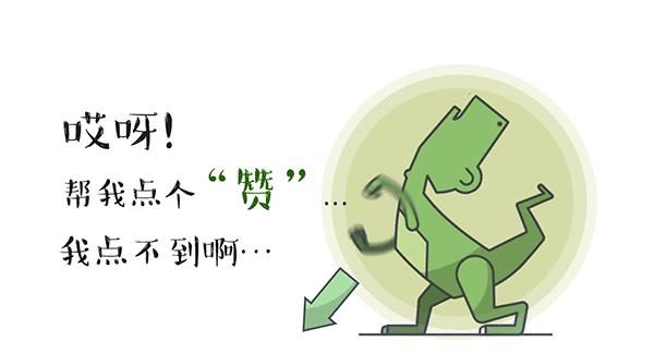 鹿泉上市公司有哪几家,鹿泉上市企业名单