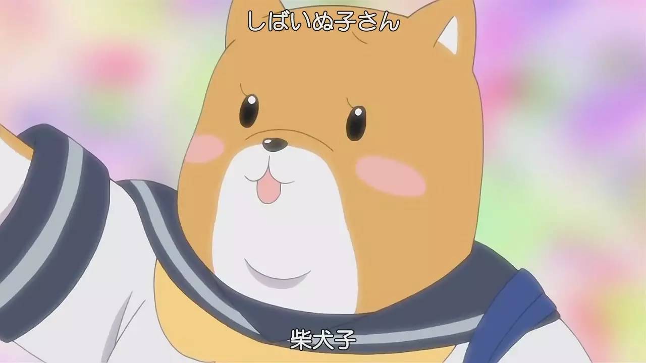 最爱吃的泡面番 (冬天必备泡面番)