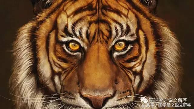 卧虎藏龙什么来历,卧虎藏龙卧虎指的是