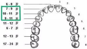 你为*牙虎**纠结过吗？是可爱还是丑