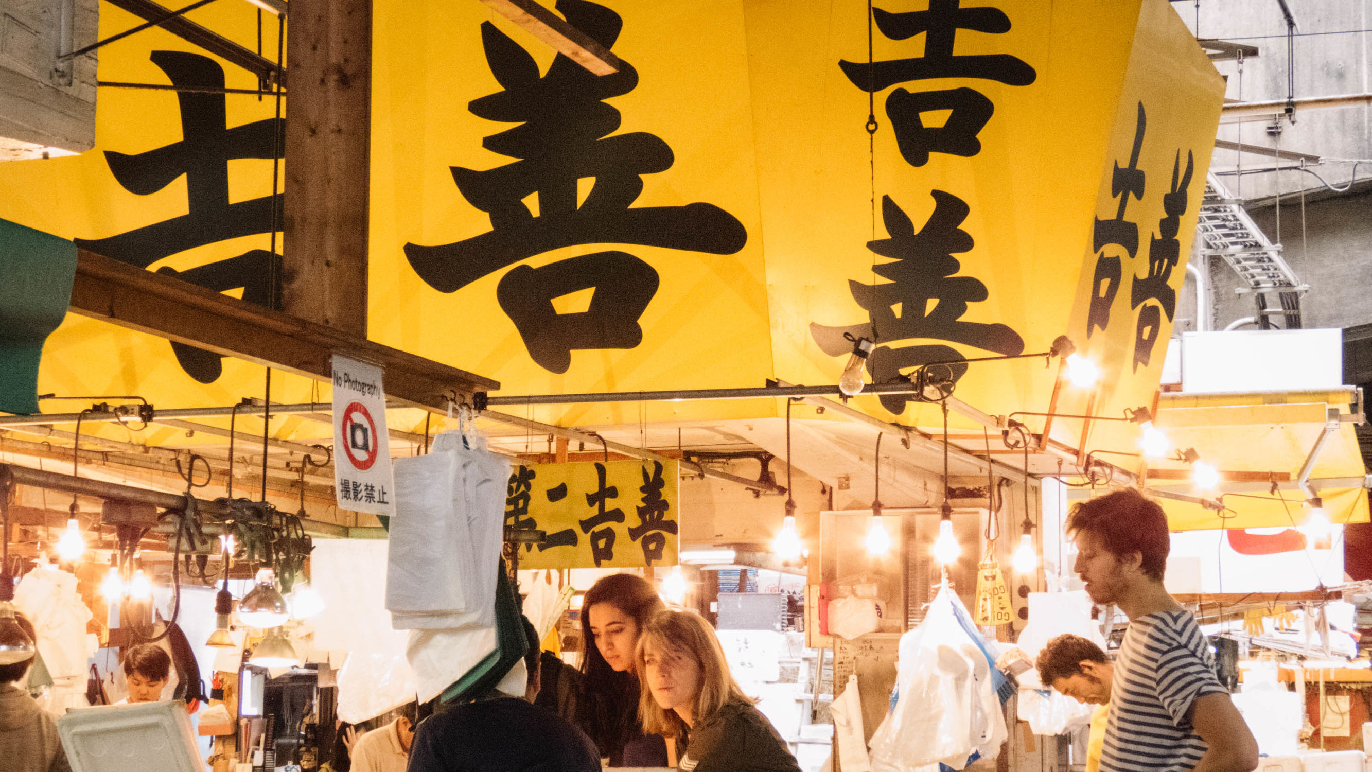 东京镰仓横滨旅游攻略,东京镰仓箱根伊豆富士山路线