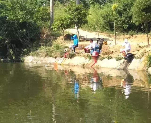 南阳古镇钓鱼比赛冠军,南阳行营钓具