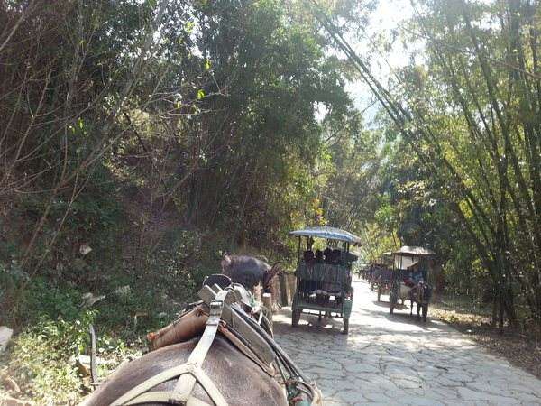 坝美普者黑5日跟团游攻略,坝美普者黑视频