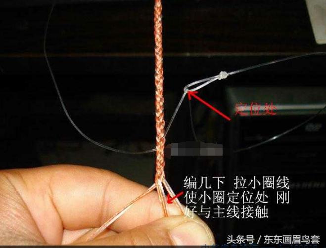 东东画眉鸟套之各种好看实用的绳套你了解吗？