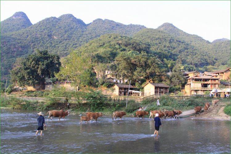 坝美普者黑5日跟团游攻略,坝美普者黑视频