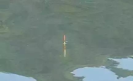 抛竿的优点和缺点,抛竿有什么讲求