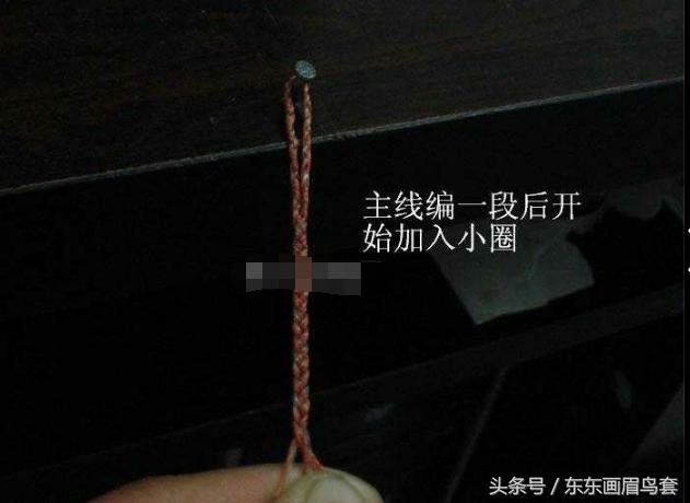 东东画眉鸟套之各种好看实用的绳套你了解吗？