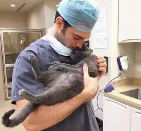 开宠物医院会血本无归吗,不做好准备不要养狗