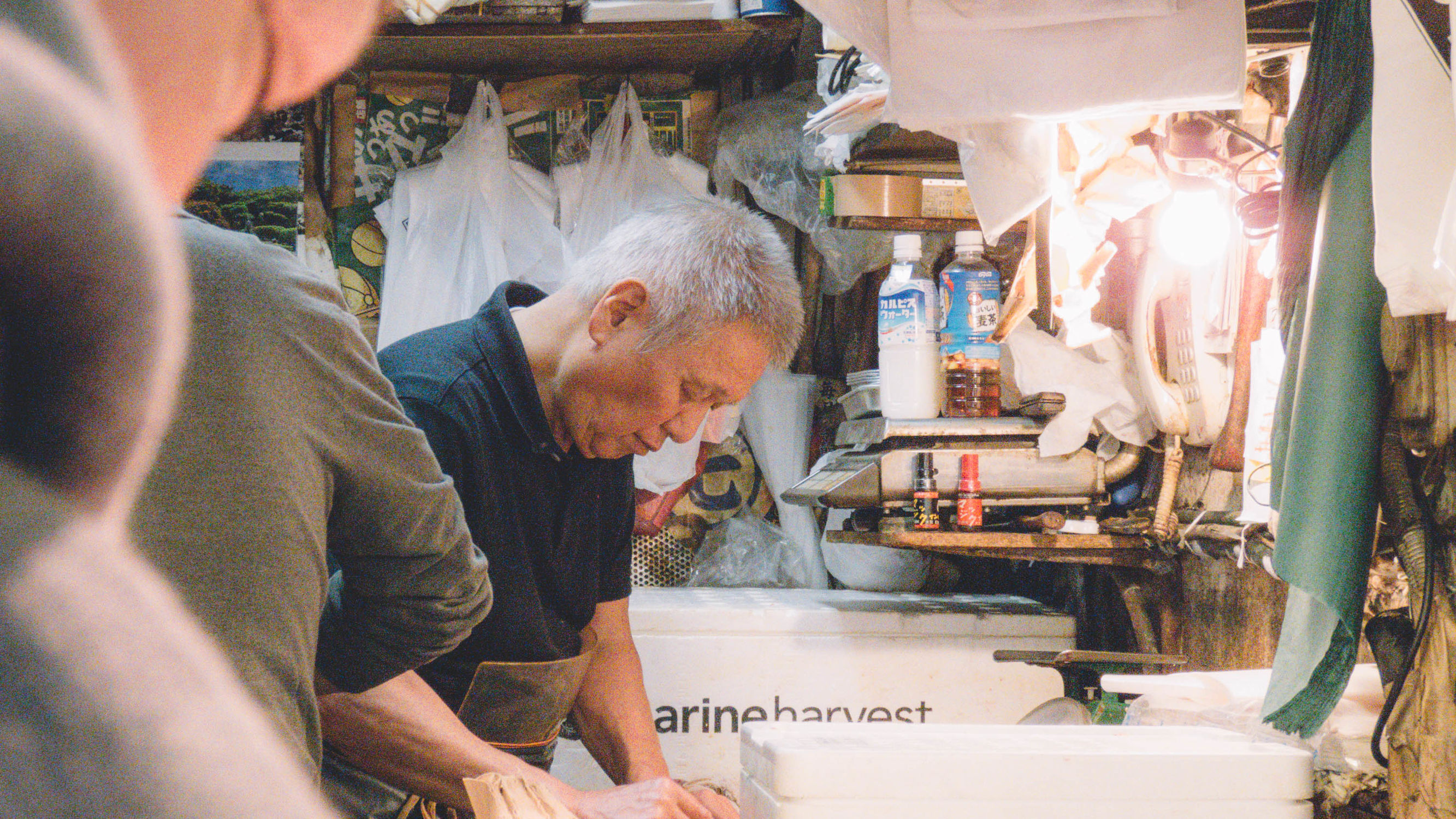 东京镰仓横滨旅游攻略,东京镰仓箱根伊豆富士山路线