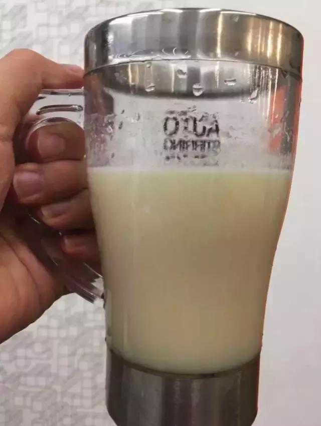 奥赛德斯蛋白粉试用装,奥赛德斯袋装