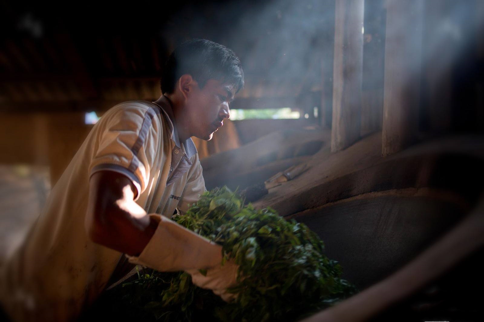 什么是茶叶的杀青揉捻,什么是茶叶的杀青