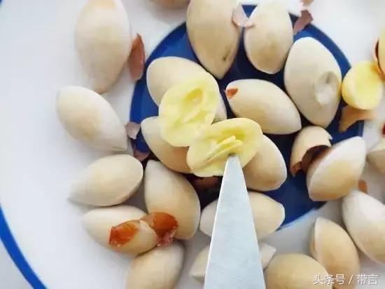 美梅的梦想｜世界最古老植物的馈赠——泰兴银杏