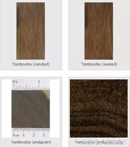 「识木」非洲檀香（檀香花梨）与螺穗木