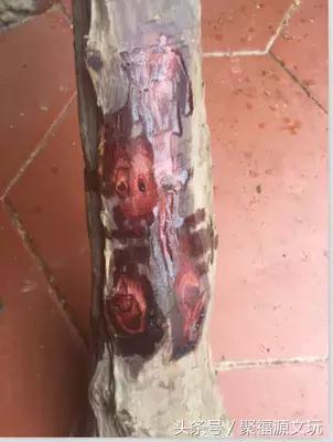 海南黄花梨紫檀柳手串重量,紫檀柳手串与黄花梨手串区别