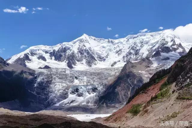 美梅的梦想｜世界最古老植物的馈赠——泰兴银杏
