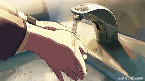 可爱萌哒哒的小仓鼠,萌哒哒的可爱的小仓鼠