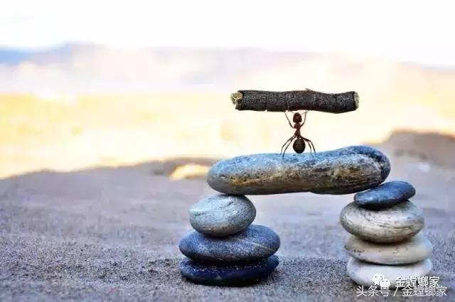 华山论剑，修炼好装修内功：独创五步放线法大比拼，为消费者打造放心家