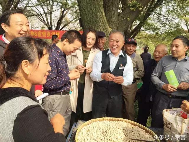 美梅的梦想｜世界最古老植物的馈赠——泰兴银杏