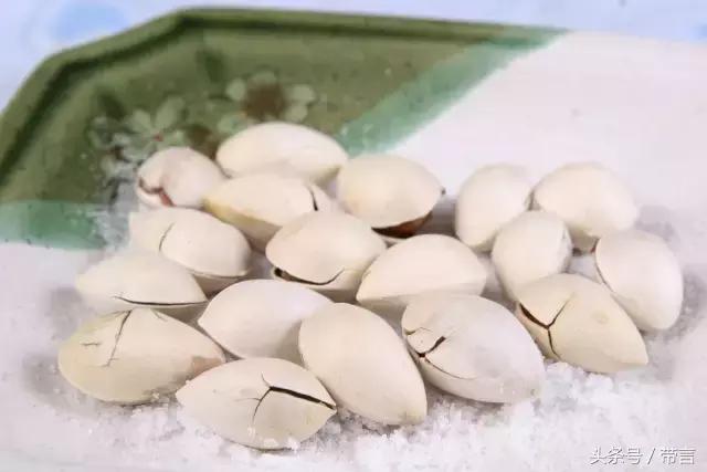 美梅的梦想｜世界最古老植物的馈赠——泰兴银杏