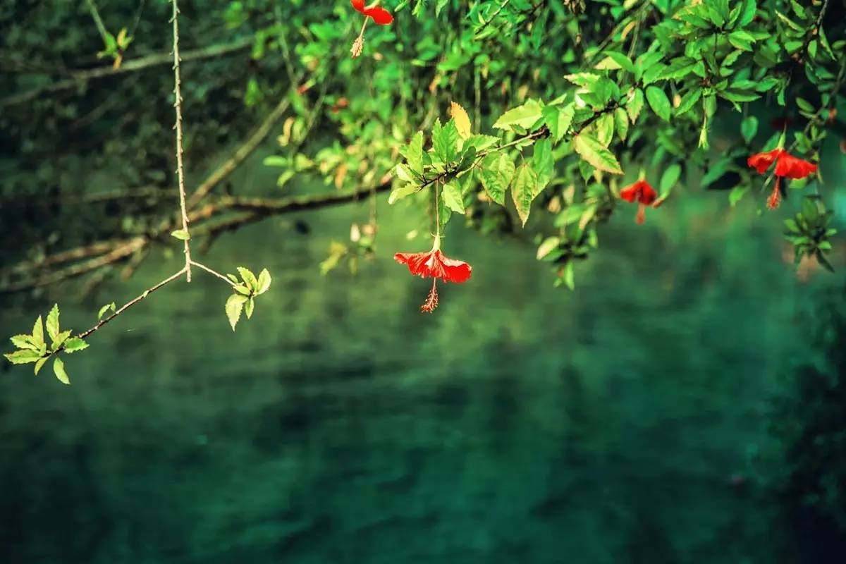 诗情画意广西,广西诗情画意