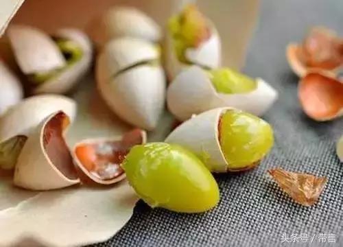 美梅的梦想｜世界最古老植物的馈赠——泰兴银杏