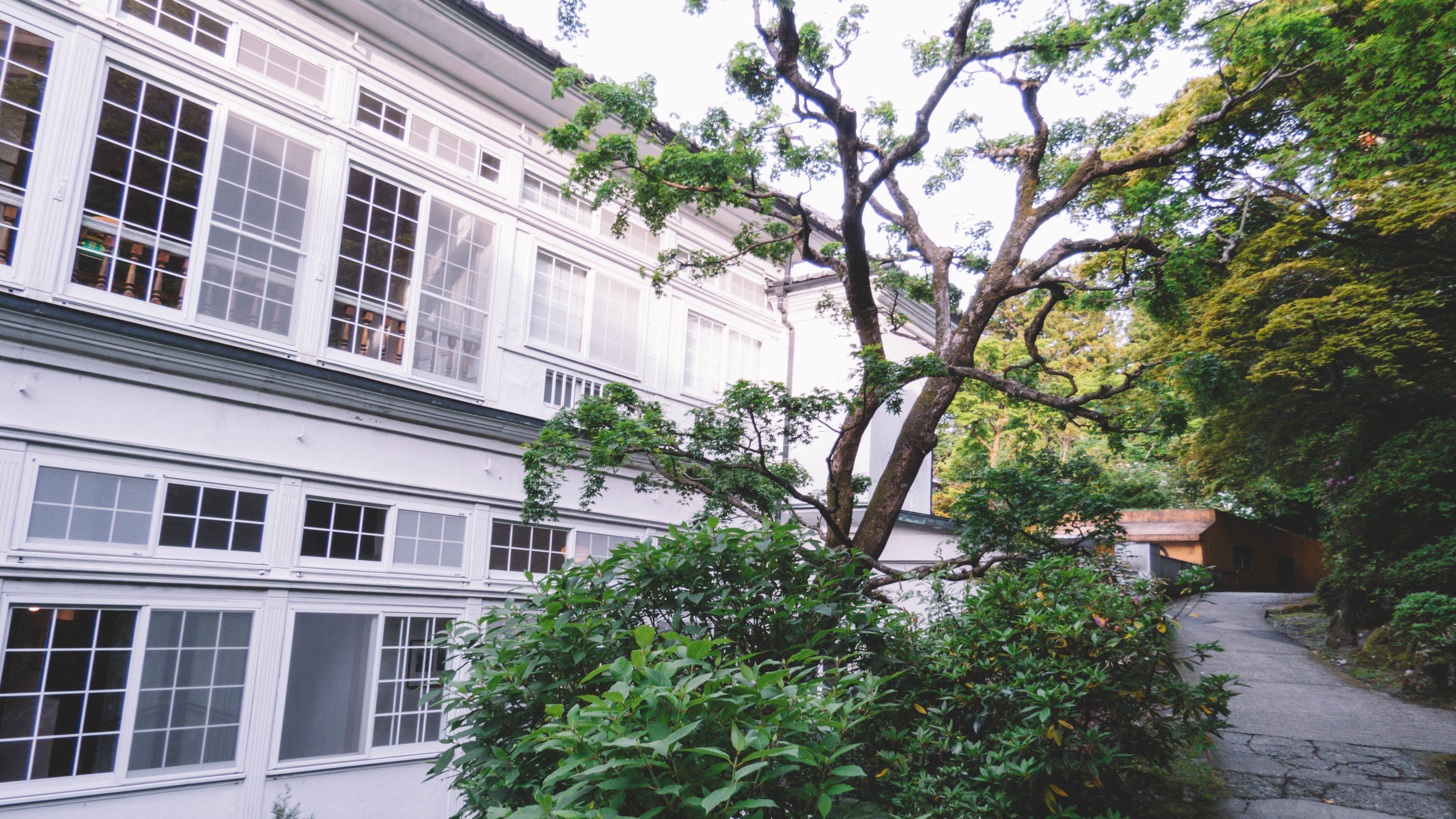 东京镰仓横滨旅游攻略,东京镰仓箱根伊豆富士山路线