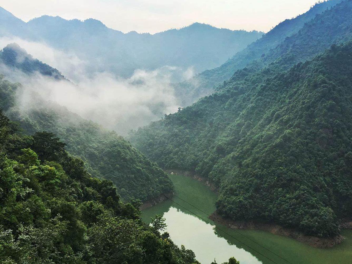 资溪有两大产业,资溪有哪些特产