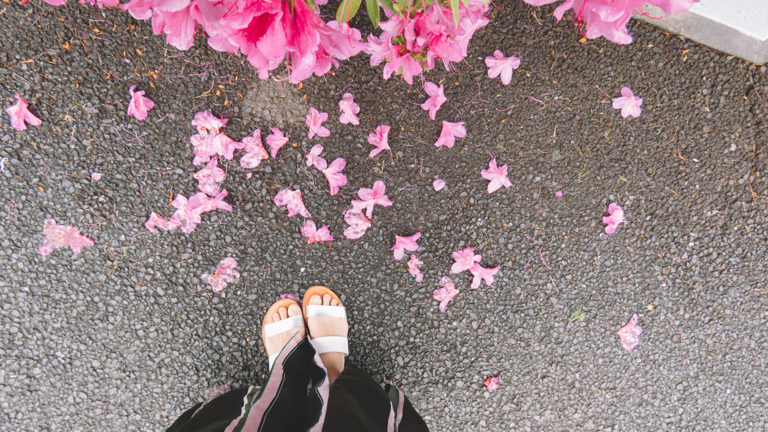 东京镰仓横滨旅游攻略,东京镰仓箱根伊豆富士山路线