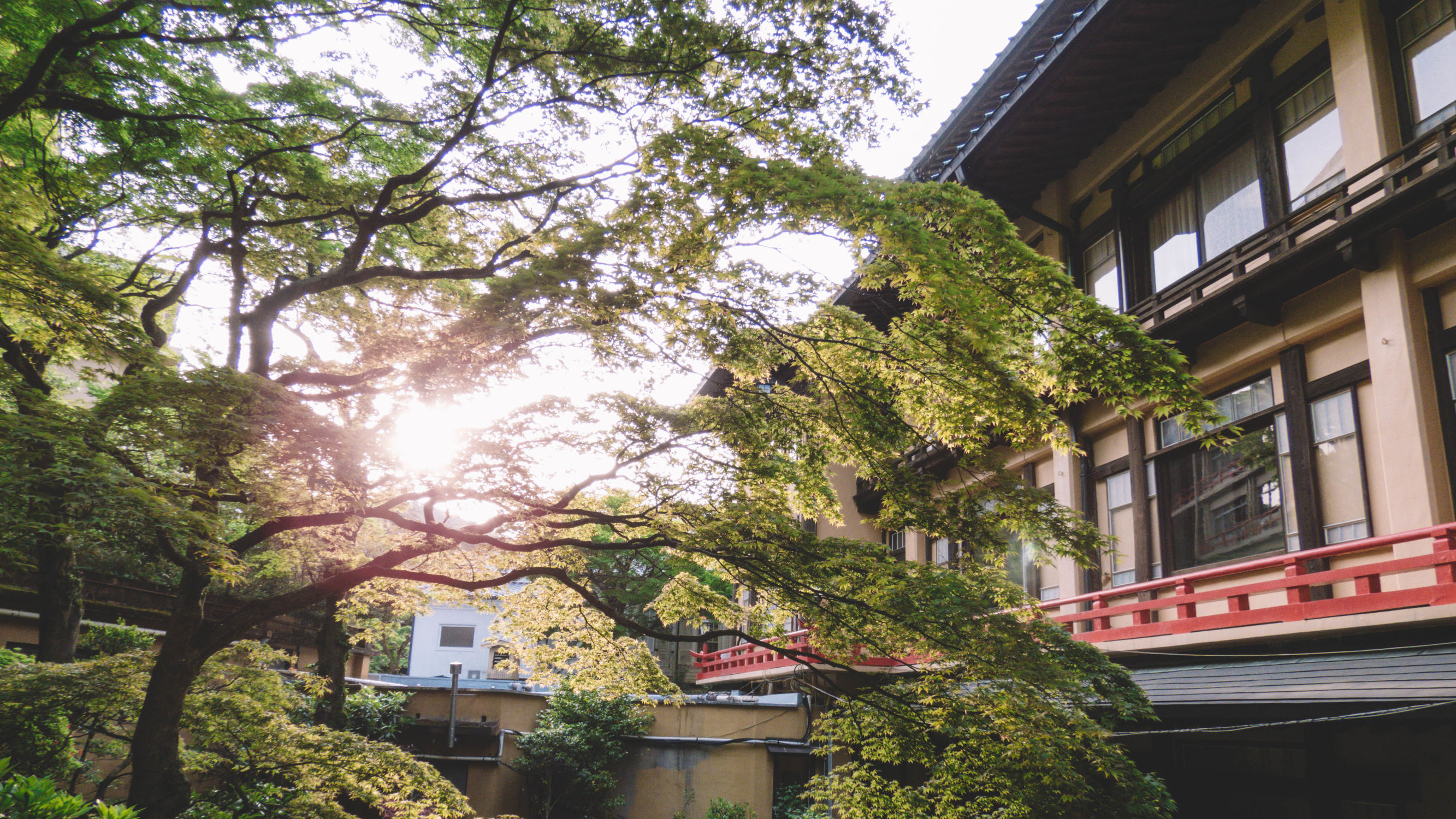 东京镰仓横滨旅游攻略,东京镰仓箱根伊豆富士山路线