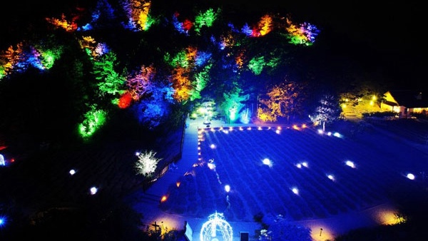 云峰山景区薰衣草2018年价格,云峰山薰衣草花海