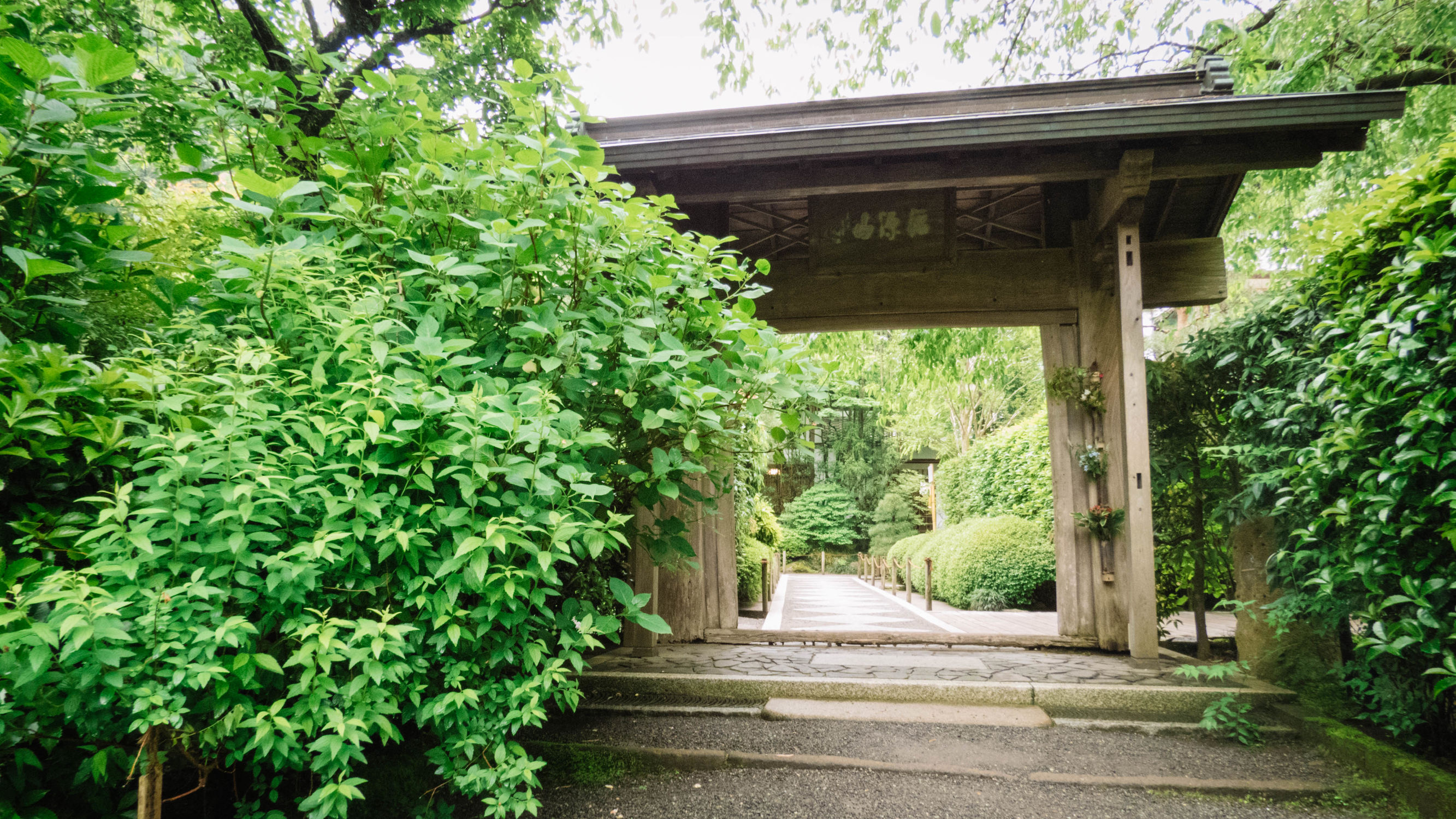 东京镰仓横滨旅游攻略,东京镰仓箱根伊豆富士山路线