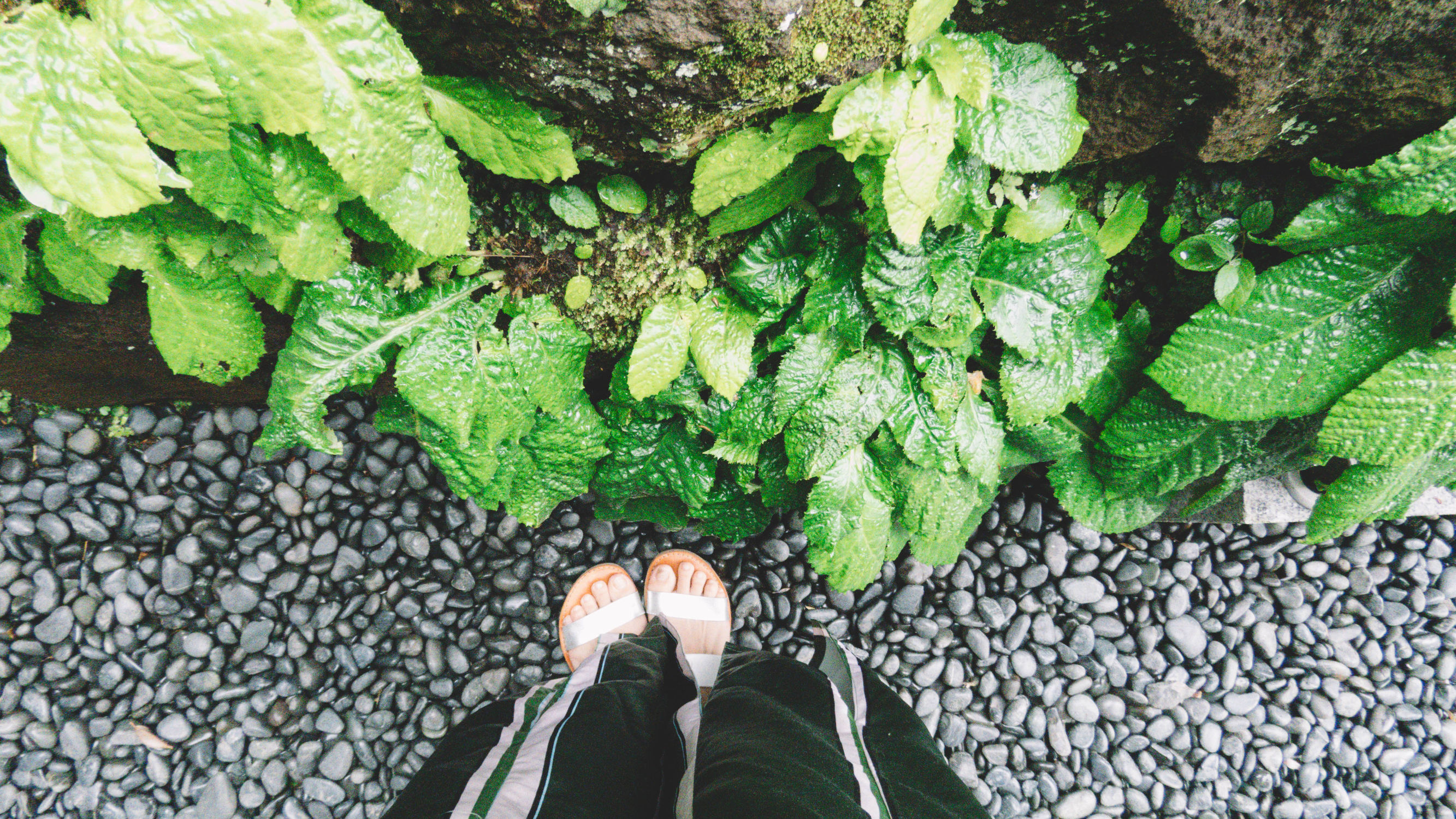 东京镰仓横滨旅游攻略,东京镰仓箱根伊豆富士山路线