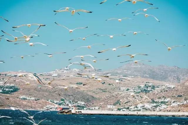去欧洲一趟花费要多少钱,欧洲物价低签证简单的国家