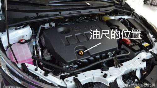 丰田卡罗拉最新款省油吗,丰田卡罗拉参数和报价