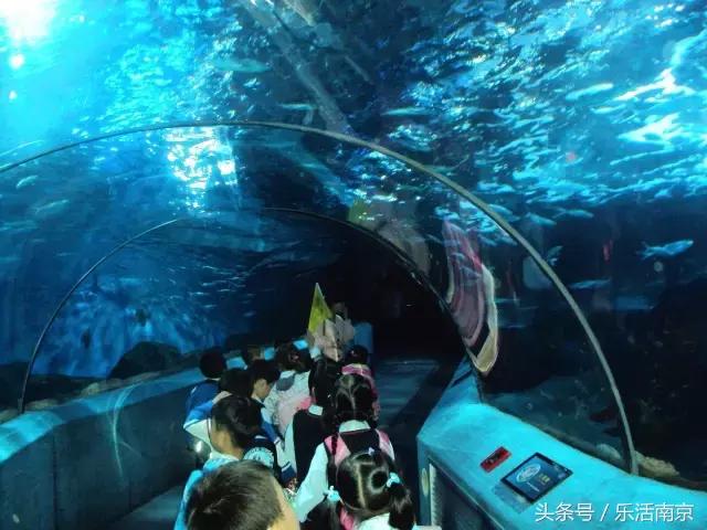 南京下雨天气能去游玩吗,在南京千万不要去的地方