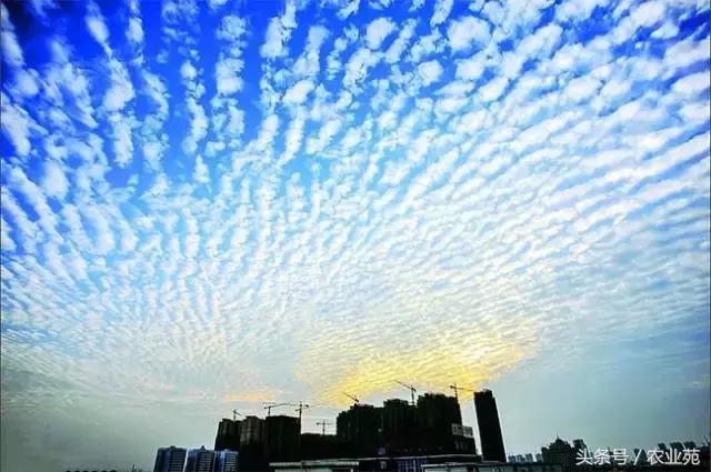 怎么根据云彩来判断天气,云彩识别天气图解