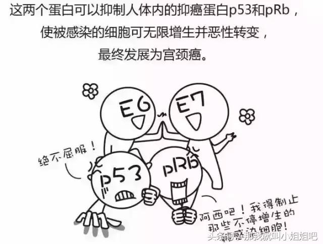 死亡率极高的女性杀手：一组漫画告诉你它是怎么来的！