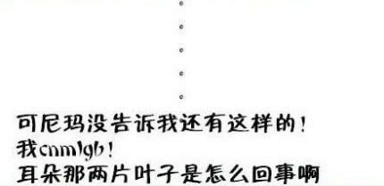 淘宝买家秀被偷,淘宝辣眼买家秀