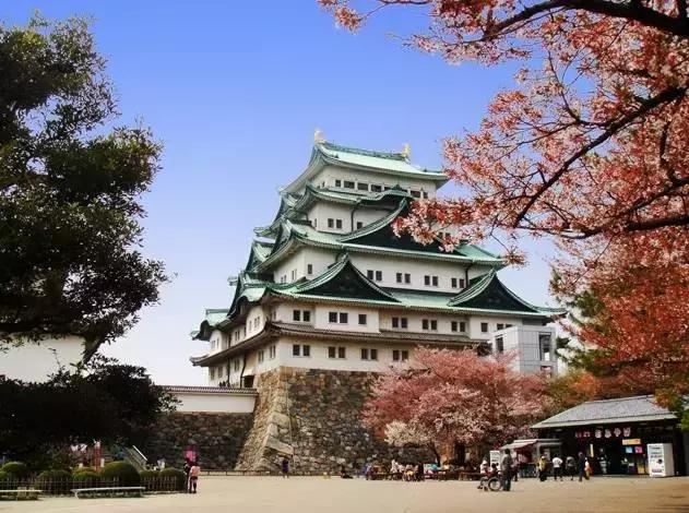 名古屋鳗鱼饭菜单三人套餐,名古屋美食旅游攻略