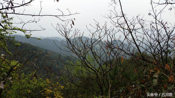 骑着雅马哈踏板摩托车周游世界,骑雅马哈天剑125回家