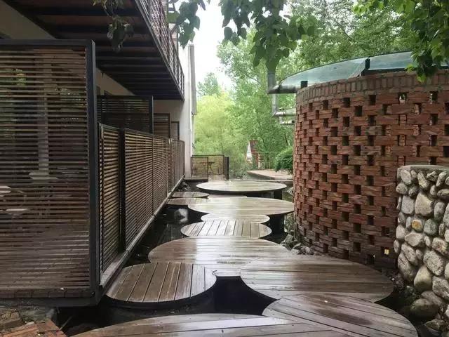 就是个简单的灶台鱼，凭什么招来那么多人？