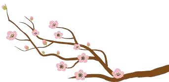 不同种类的面膜如何正确使用,教你选择适合的面膜