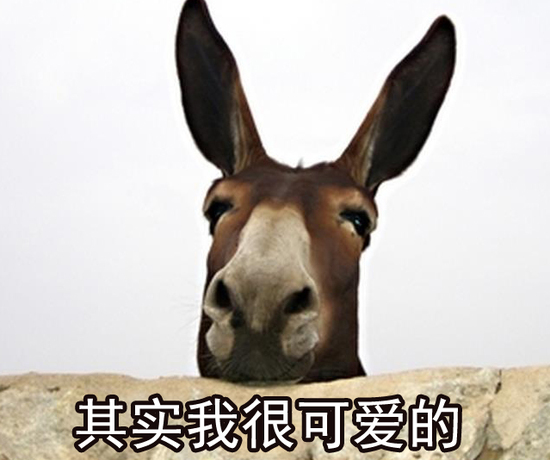 投资养鹿要多少钱,投资5万养驴真实感受