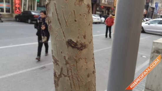 三星a9手机评测视频,三星手机a9s深度评测