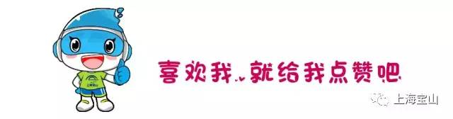 上海市宝山区招聘社区工笔者,宝山区事业单位招聘