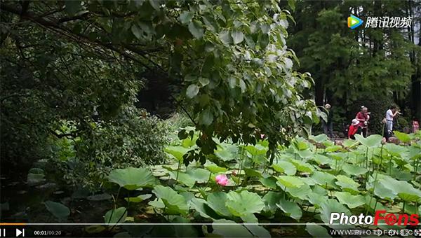 尼康d7500实拍测评,尼康d7500配50-1.8镜头拍什么最好