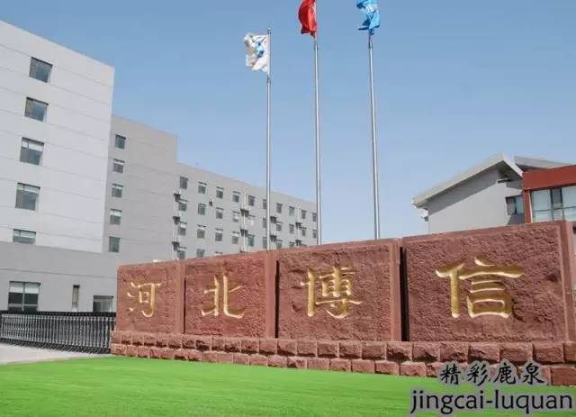 鹿泉上市公司有哪几家,鹿泉上市企业名单